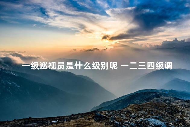 一级巡视员是什么级别呢 一二三四级调研员